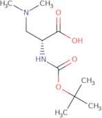 Na-Boc-(R)-2-amino-3-(dimethylamino)propionic Acid
