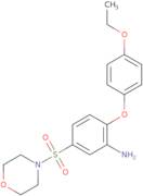 2-(4-Ethoxyphenoxy)-5-(morpholine-4-sulfonyl)aniline