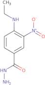 4-(Ethylamino)-3-nitrobenzohydrazide