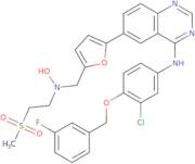 N-[3-Chloro-4-[(3-fluorophenyl)methoxy]phenyl]-6-[5-[[hydroxy[2-(methylsulfonyl)ethyl]amino]methyl]-2-furanyl]-4-quinazolinamine