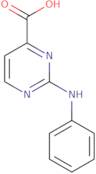 2-(Phenylamino)pyrimidine-4-carboxylic acid