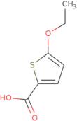 5-Ethoxy-2-thiophenecarboxylic acid