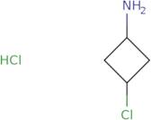 3-Chlorocyclobutan-1-amine hydrochlorides