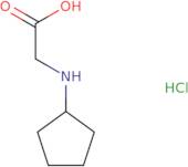 2-(cyclopentylamino)acetic acid hydrochloride