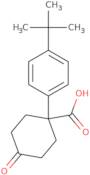 1-(4-tert-Butylphenyl)-4-oxocyclohexanecarboxylic acid