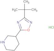3-(3-tert-Butyl-1,2,4-oxadiazol-5-yl)piperidine hydrochloride