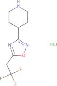 4-[5-(2,2,2-Trifluoroethyl)-1,2,4-oxadiazol-3-yl]piperidine hydrochloride