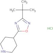 3-tert-Butyl-5-(piperidin-4-yl)-1,2,4-oxadiazole hydrochloride