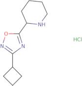 2-(3-Cyclobutyl-1,2,4-oxadiazol-5-yl)piperidine hydrochloride
