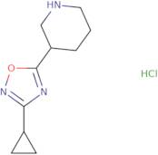 3-Cyclopropyl-5-(piperidin-3-yl)-1,2,4-oxadiazole hydrochloride