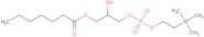 1-Heptanoyl-2-hydroxy-sn-glycero-3-phosphocholine