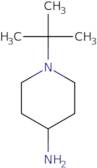 1-tert-Butylpiperidin-4-amine