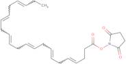 Docosahexaenoic acid N-succinimide