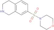 7-(Morpholine-4-sulfonyl)-1,2,3,4-tetrahydroisoquinoline