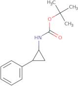 (1R,2S)-N-Boc-2-phenylcyclopropylamine ee