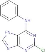 2-Chloro-N-phenyl-7H-purin-6-amine