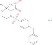 Prinomastat hydrochloride