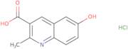 6-Hydroxy-2-methylquinoline-3-carboxylic acid hydrochloride