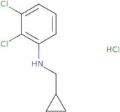 2,3-Dichloro-N-(cyclopropylmethyl)aniline hydrochloride