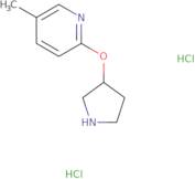 5-Methyl-2-(pyrrolidin-3-yloxy)pyridine dihydrochloride