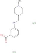 3-{[(1-Methylpiperidin-4-yl)methyl]amino}benzoic acid dihydrochloride