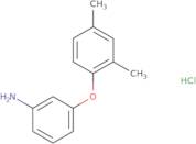 3-(2,4-Dimethylphenoxy)aniline hydrochloride