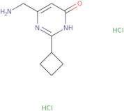 6-(Aminomethyl)-2-cyclobutyl-3,4-dihydropyrimidin-4-one dihydrochloride