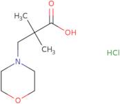 2,2-Dimethyl-3-(morpholin-4-yl)propanoic acid hydrochloride