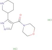 4-[3-(Piperidin-3-yl)-1H-pyrazole-4-carbonyl]morpholine dihydrochloride