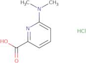6-(Dimethylamino)pyridine-2-carboxylic acid hydrochloride