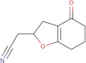 2-(4-Oxo-2,3,4,5,6,7-hexahydro-1-benzofuran-2-yl)acetonitrile
