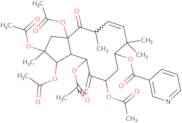 2α,3β,5α,7β,15β-Pentaacetoxy-9α-nicotinoyloxyjatropha-6(17),11-dien-14-one