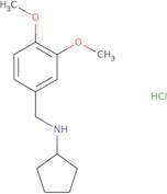 Cyclopentyl-(3,4-dimethoxy-benzyl)-aminehydrochloride