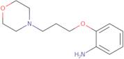 2-(3-Morpholinopropoxy)aniline