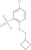 5-Chloro-2-(cyclobutylmethoxy)benzene-1-sulfonyl chloride