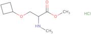 Methyl 3-cyclobutoxy-2-(methylamino)propanoate hydrochloride