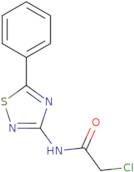 2-Chloro-N-(5-phenyl-1,2,4-thiadiazol-3-yl)acetamide