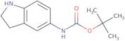 (2,3-Dihydro-1H-indol-5-yl)-carbamic acid tert-butyl ester