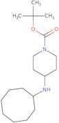 1-Boc-4-cyclooctylamino-piperidine