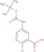 5-tert-Butoxycarbonylamino-2-chloro-nicotinic acid