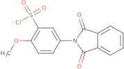 2-Methoxy-5-(1,3-dioxoisoindolin-2-yl)benzene-1-sulfonyl chloride