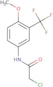 2-Chloro-N-[4-methoxy-3-(trifluoromethyl)phenyl]acetamide