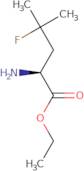 Ethyl 2-amino-4-fluoro-4-methylpentanoate