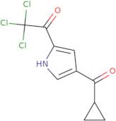 2,2,2-Trichloro-1-[4-(cyclopropylcarbonyl)-1H-pyrrol-2-yl]-1-ethanone