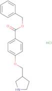 2-[3-(4-Methoxyphenyl)-1,2,4-oxadiazol-5-yl]ethanamine