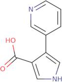 4-Pyridin-3-yl-1H-pyrrole-3-carboxylic acid