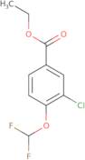 Ethyl 3-chloro-4-(difluoromethoxy)benzoate