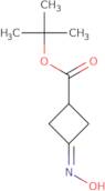 tert-Butyl 3-(hydroxyimino)cyclobutane-1-carboxylate