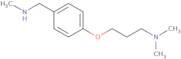 4-[3-(Dimethylamino)propoxy]-N-methylbenzylamine