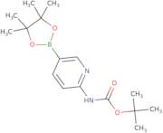 2-(tert-butoxycarbonylamino)pyridine-5-boronic acid pinacol ester